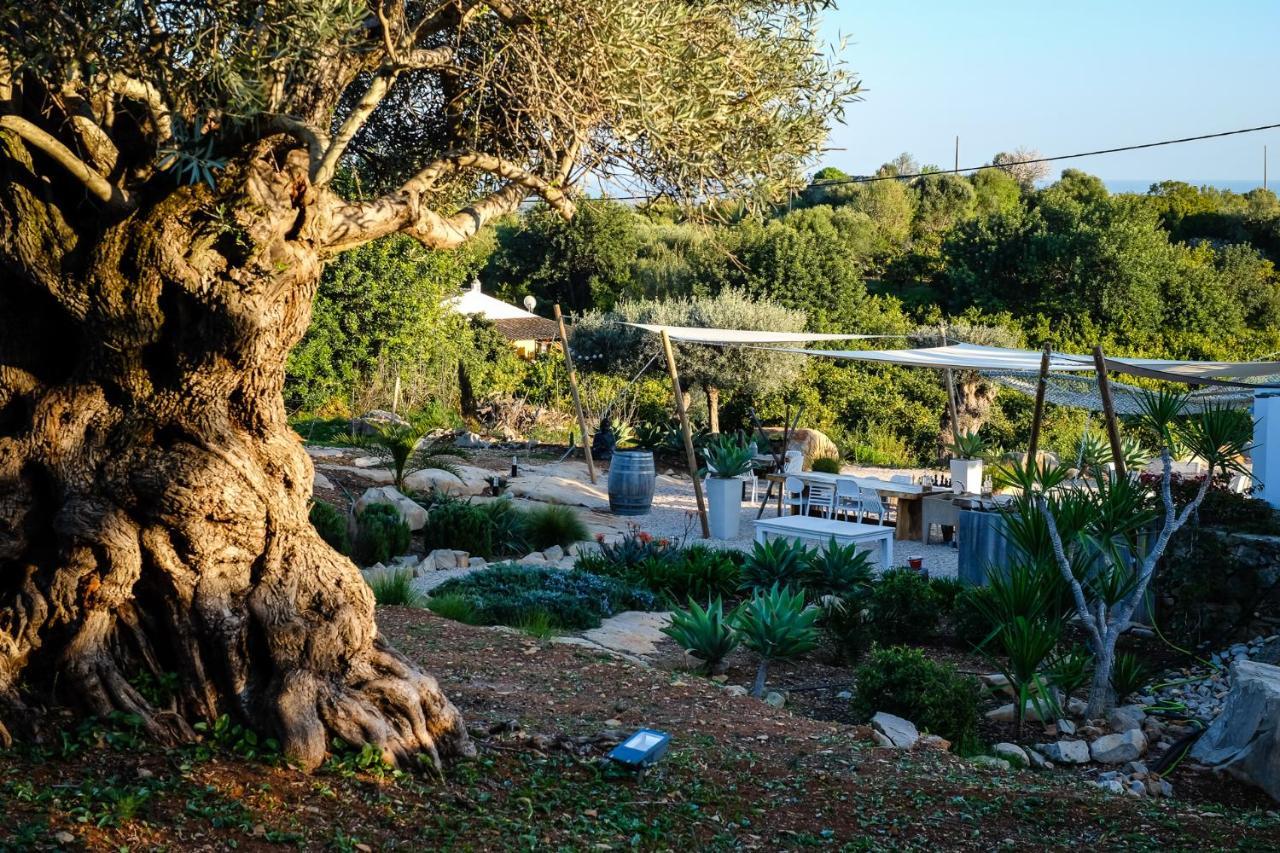 Casa Verdazul تافيرا المظهر الخارجي الصورة